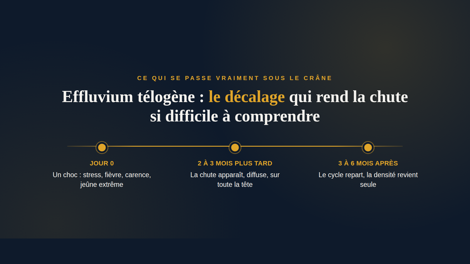 Chronologie illustrée du décalage entre un choc, stress, fièvre ou carence, et l'apparition d'une chute de cheveux diffuse, l'effluvium télogène