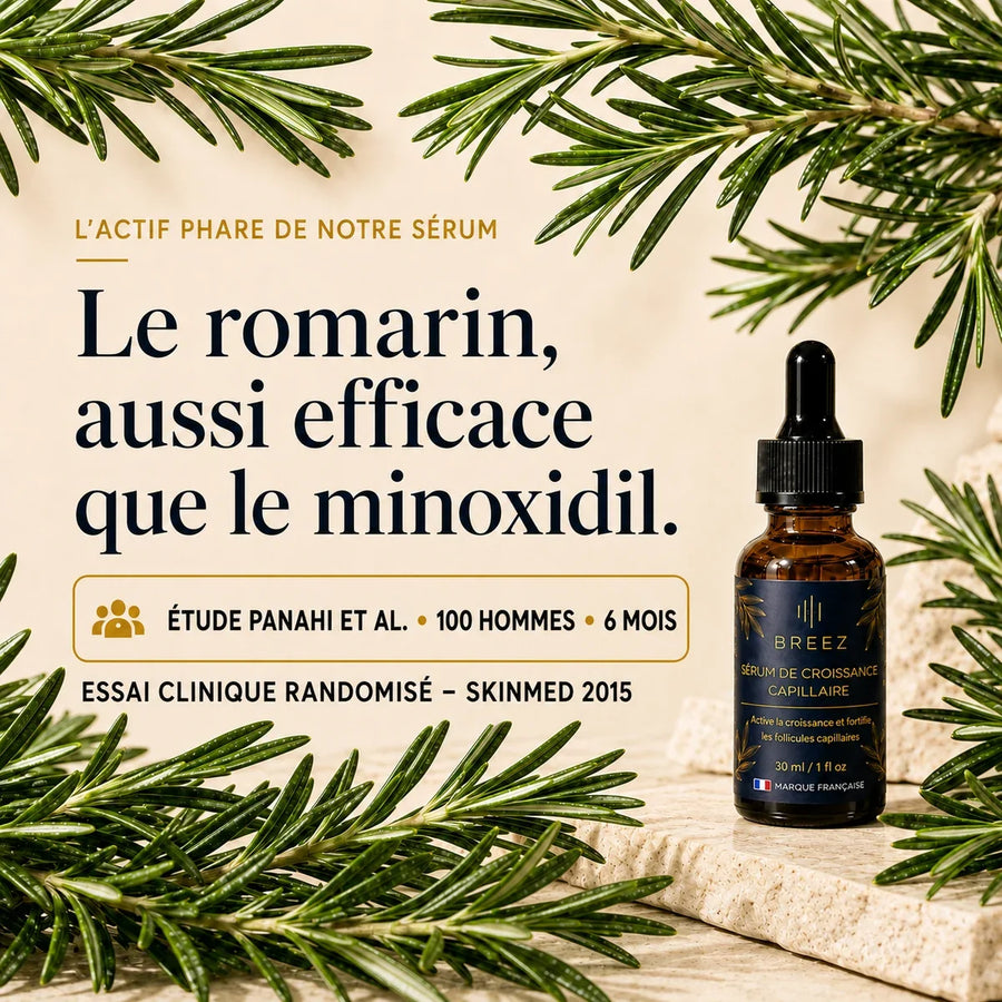 Le romarin, actif phare du sérum BREEZ : 50 % d'huile essentielle