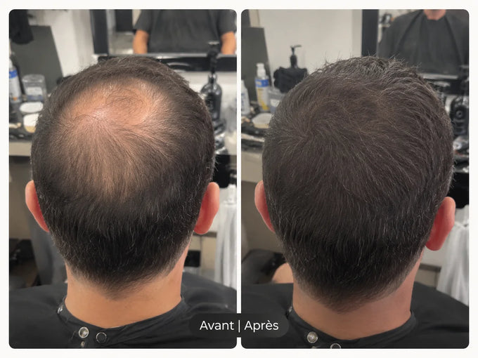 Avant et après une application de poudre densifiante, la teinte se fond dans les cheveux
